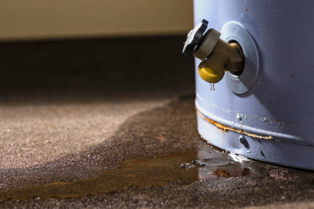 Best Water damage restoration near me  in Otisville, NY