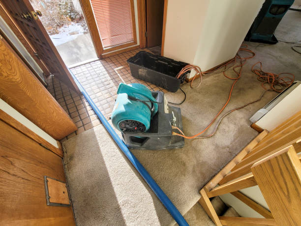 Best Mold removal after water damage  in Otisville, NY