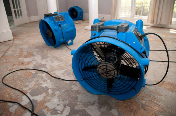 Best Ceiling water damage repair  in Otisville, NY
