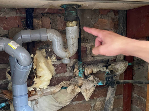 Best Water damage restoration near me  in Otisville, NY
