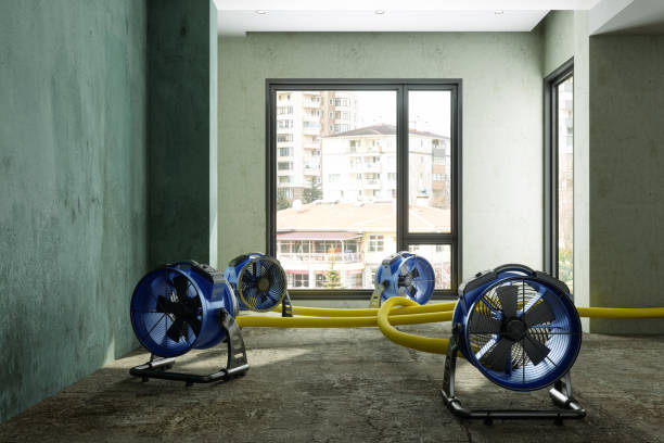 Best Water damage restoration process  in Otisville, NY